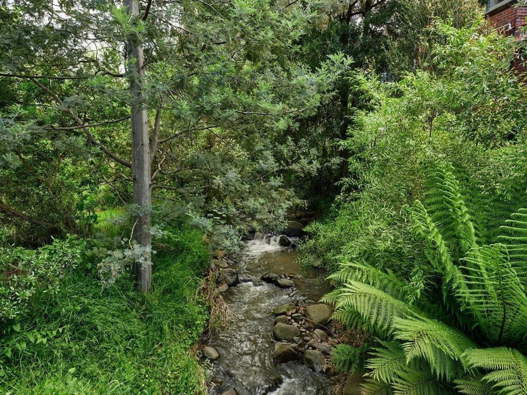 Comfort In Sandy Bay Next To The Rivulet Exterior foto